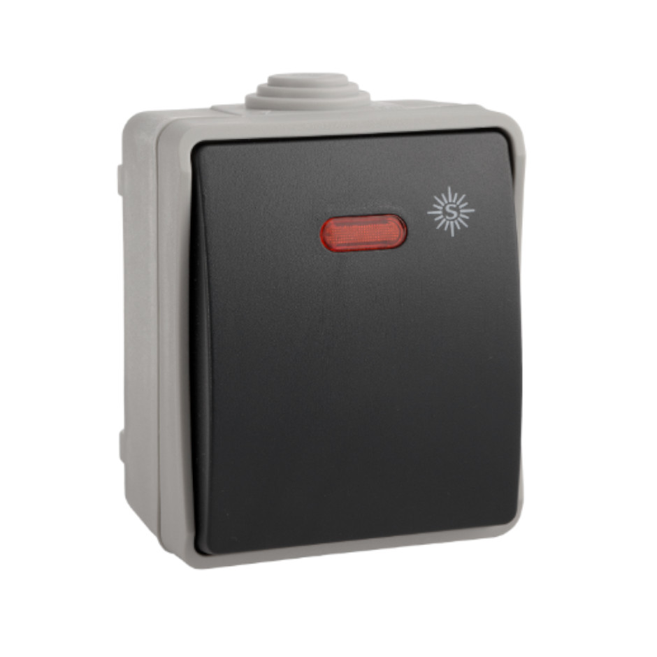 Conmutador / Interruptor estanco luminoso de superficie