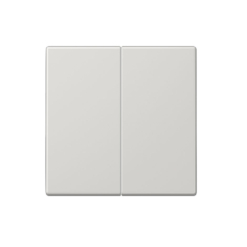 Tecla doble para interruptor o conmutador en gris claro Jung LS 990
