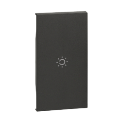 Tecla iluminable dark con símbolo de lámpara de 2 módulo Bticino Living Now KG01M2A