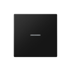 Tecla interruptor con visor en negro mate Jung LS 990. Ref: LS990KO5SWM