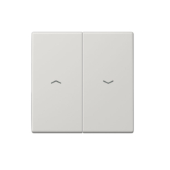 Tecla interruptor o pulsador de persianas en gris claro Jung LS 990.