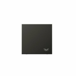 Tecla pulsador luz en antracita Jung LS 990. Ref: AL2990LAN