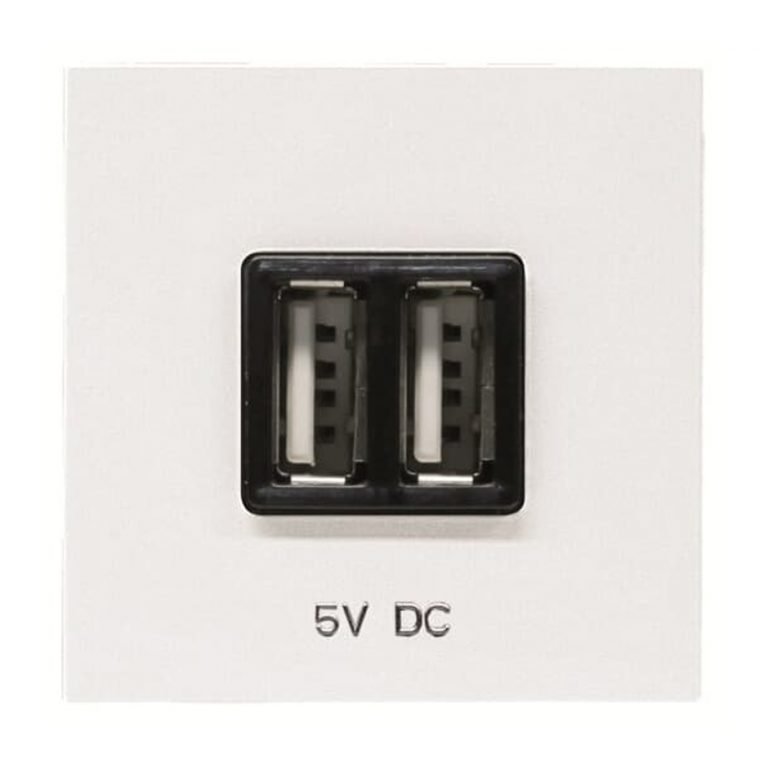Toma Cargador Doble USB Tipo A+A, 1 Módulo Gris, MatixGO De
