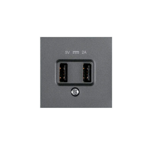 Cargador Doble USB gris oscuro Panasonic Karre Plus WKTT02312DG