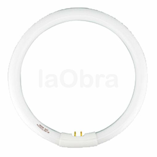 Tubo Fluorescente Circular